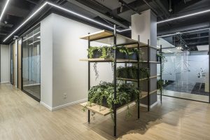 Escritório NSI Participações Fotógrafo Alexandre Jafo 008 NSI Staff