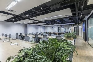 Escritório NSI Participações Fotógrafo Alexandre Jafo 014 NSI Staff